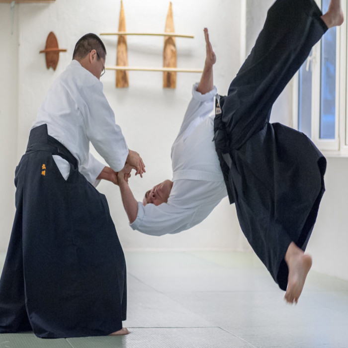 aikido