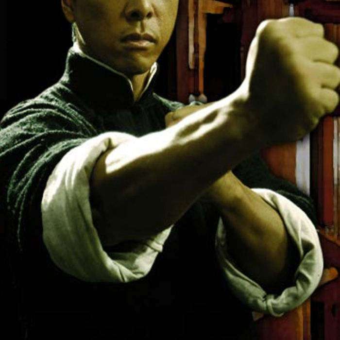 ving tsun kung fu